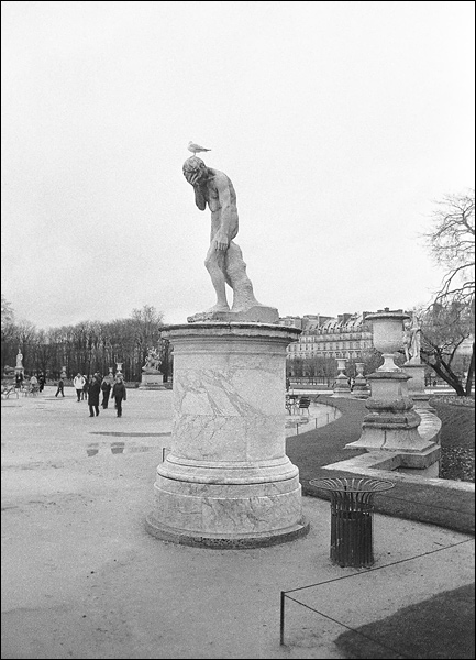   Tuileries. Paris