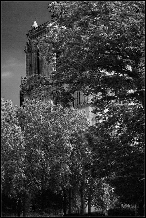    . Notre-Dame de Paris