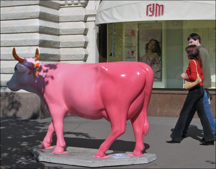  Cow in pink