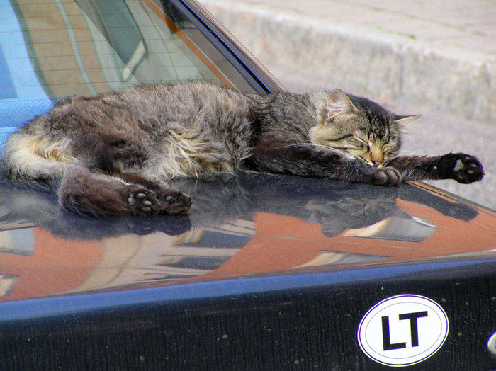  Hard Nights Day