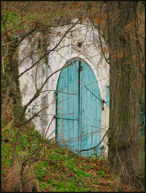  Cellar door