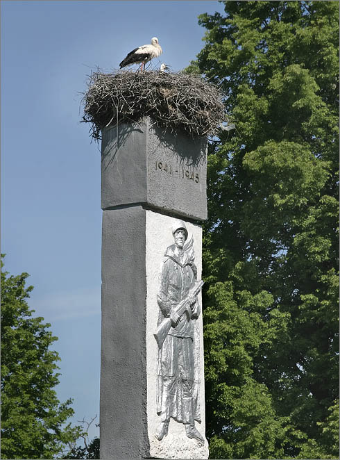  mirnoje primenenije