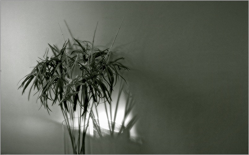  Still Life #3BW