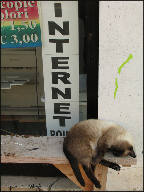  Cosceara di Venezia