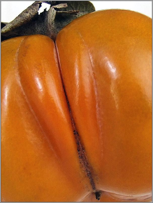    2...