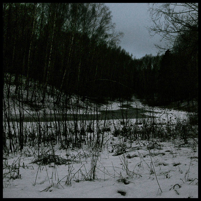   2006
