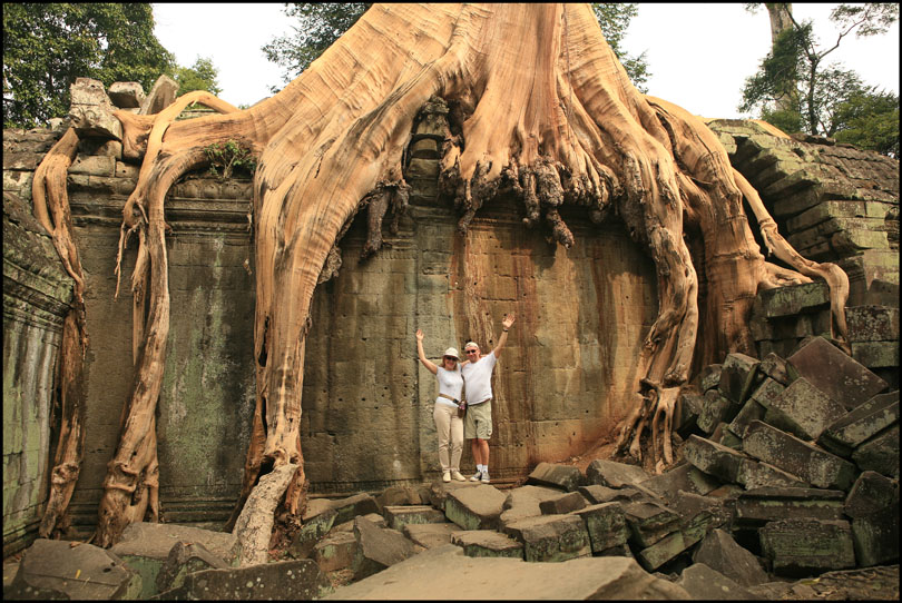  Tree roots steal the show 
