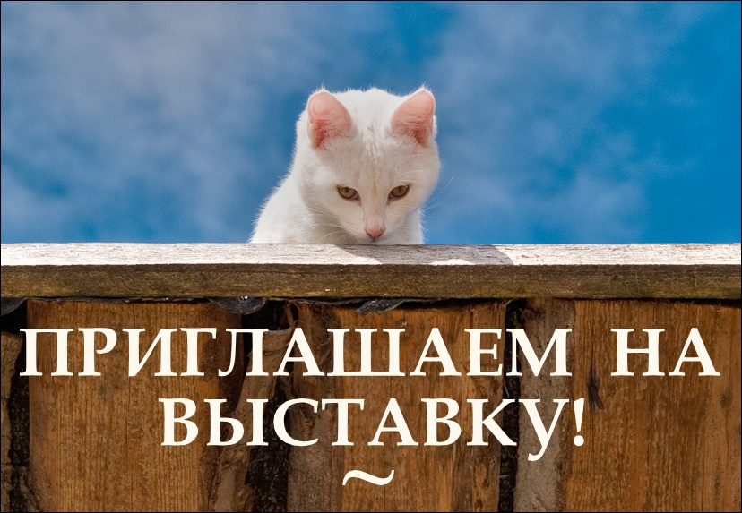  ~