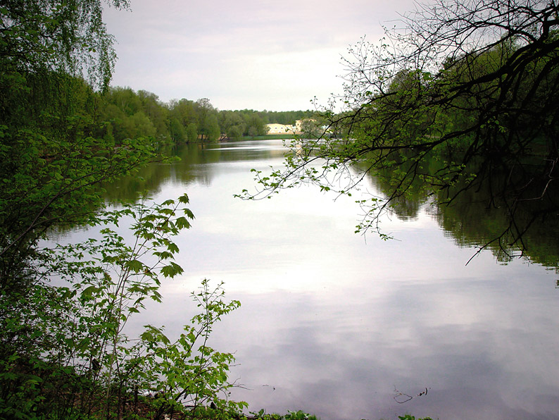    (2)
