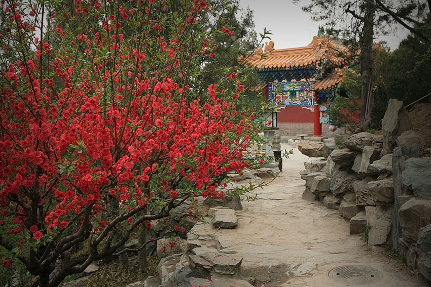    (Baihai)