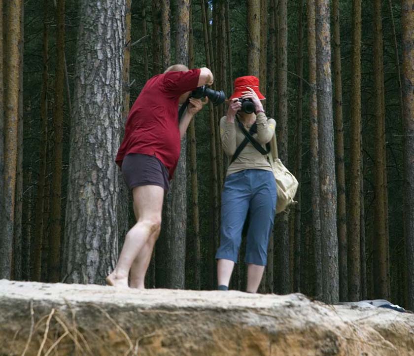  ***