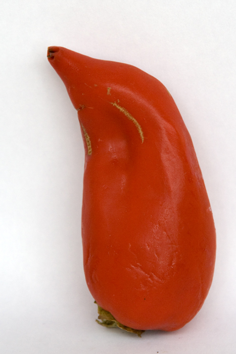  Red Hot Penguin
