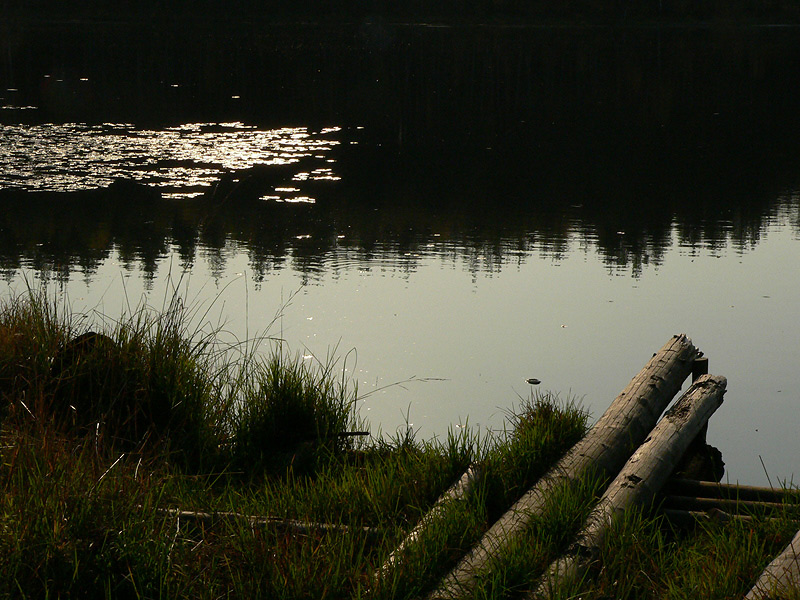  jarvi