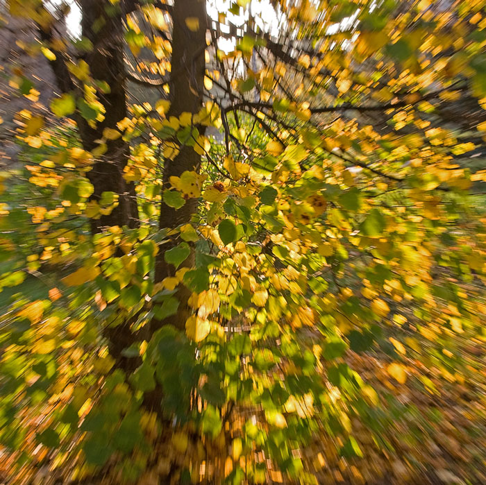  Run away autumn