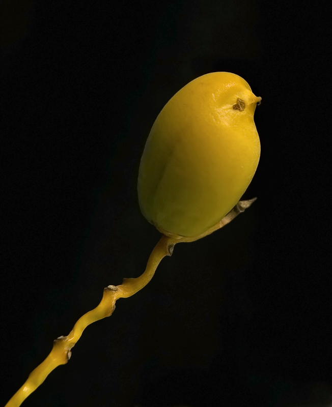  -!