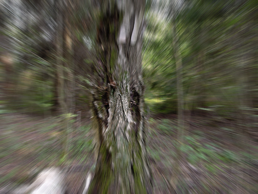  [, ]