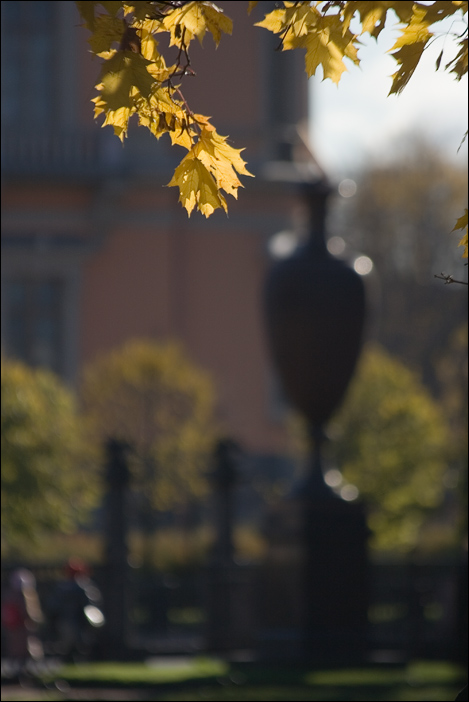   bokeh