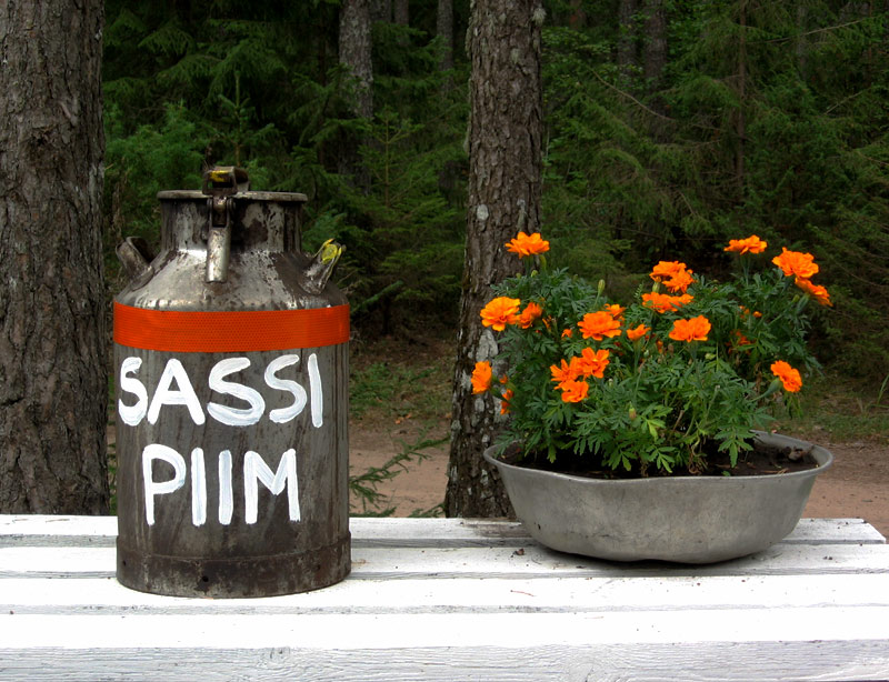  Sassi piim