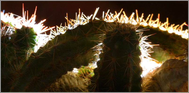  sunset in a spiky mountains