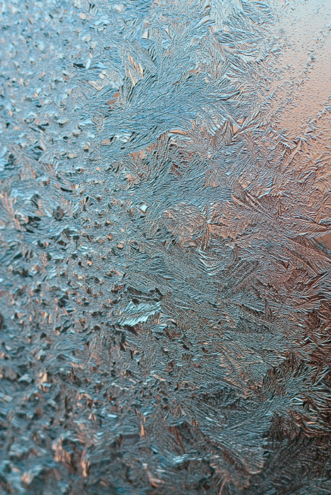  Winter the painter