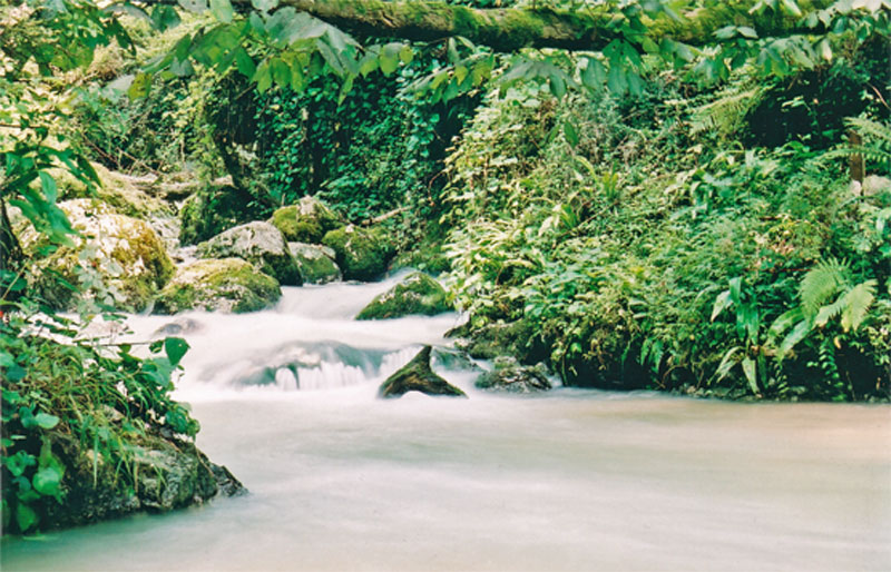   2006.