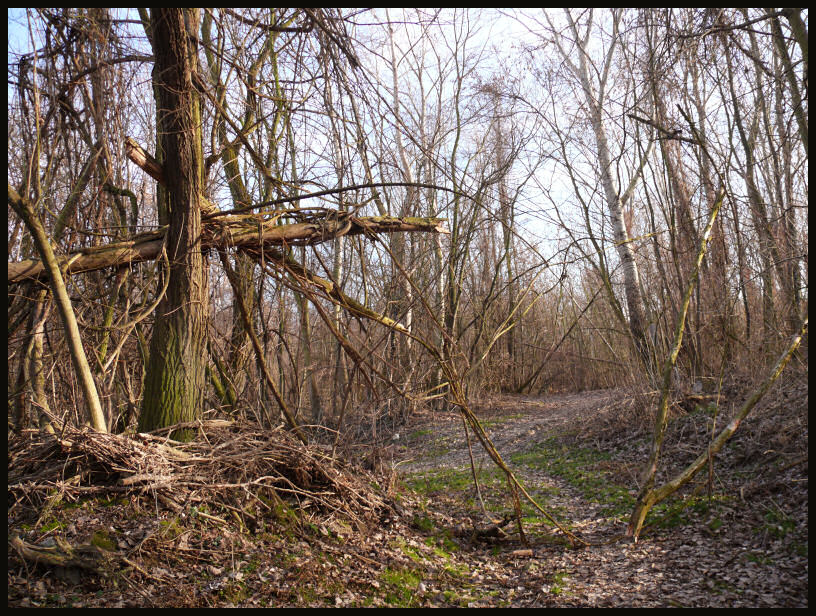  Blair Witch