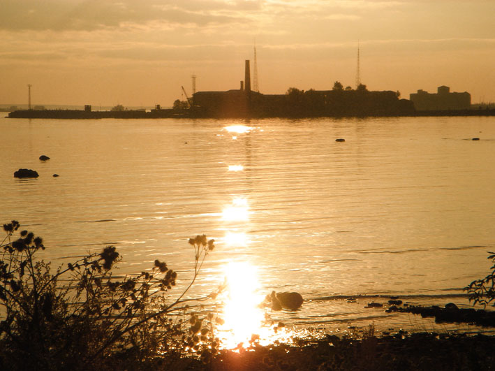  gold port