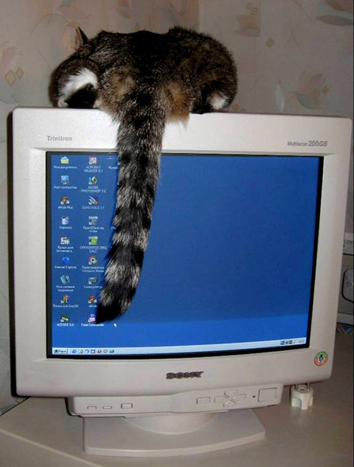  , ,  !
