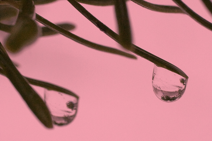  Reflections