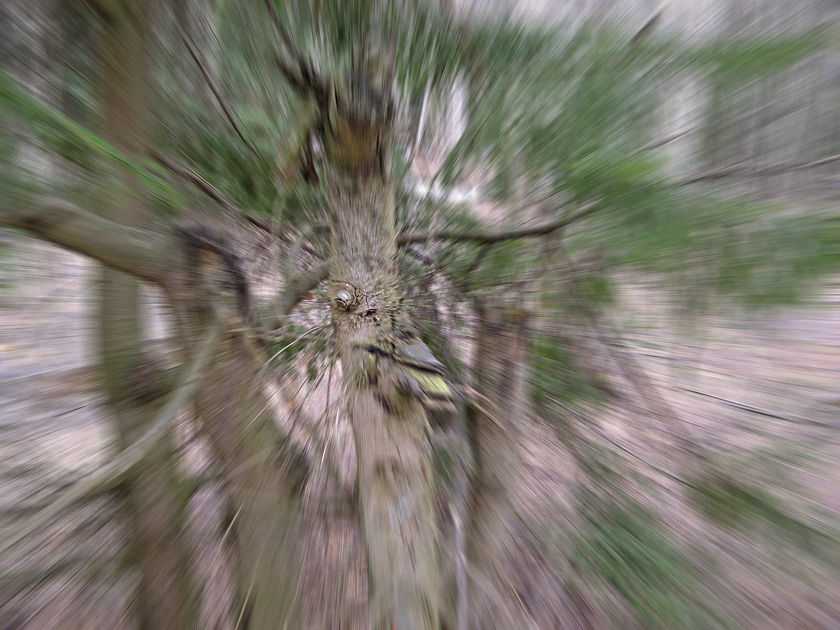  [ ]