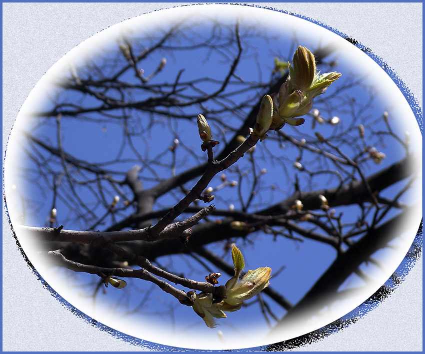  Aprilis