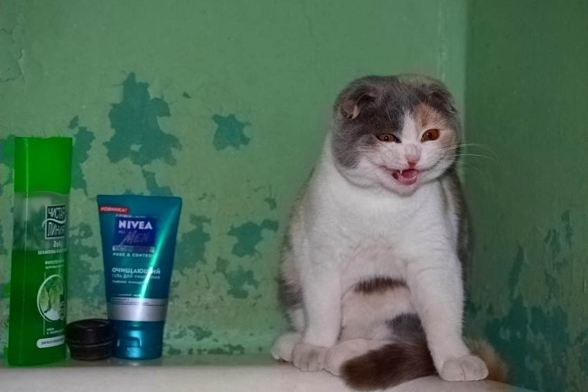    ?!!