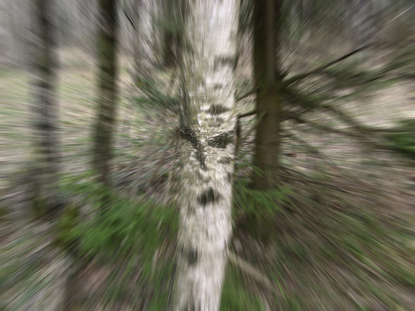  [  ] (2)