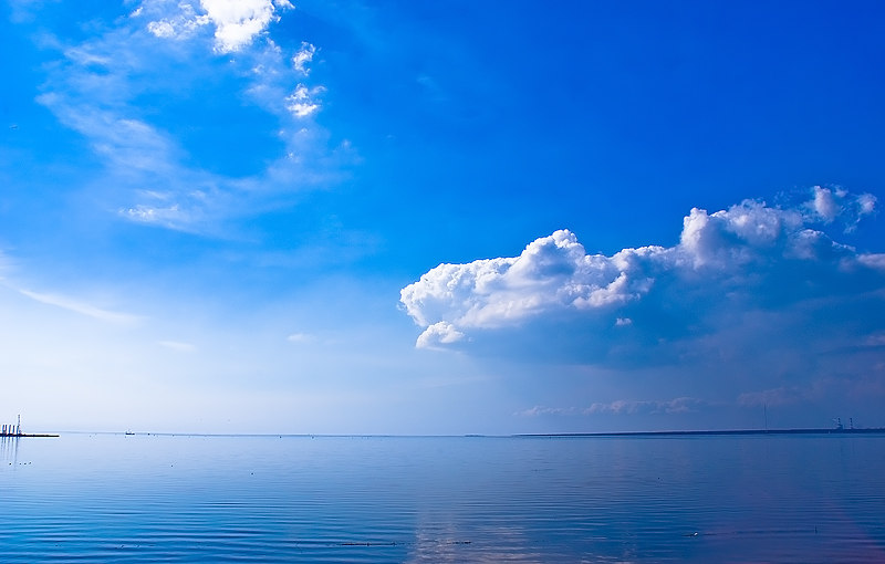  blue and white...