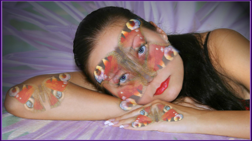  Butterfly