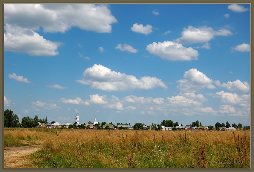   2007