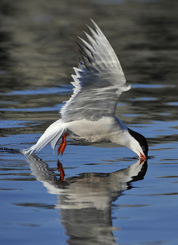  ***** 19