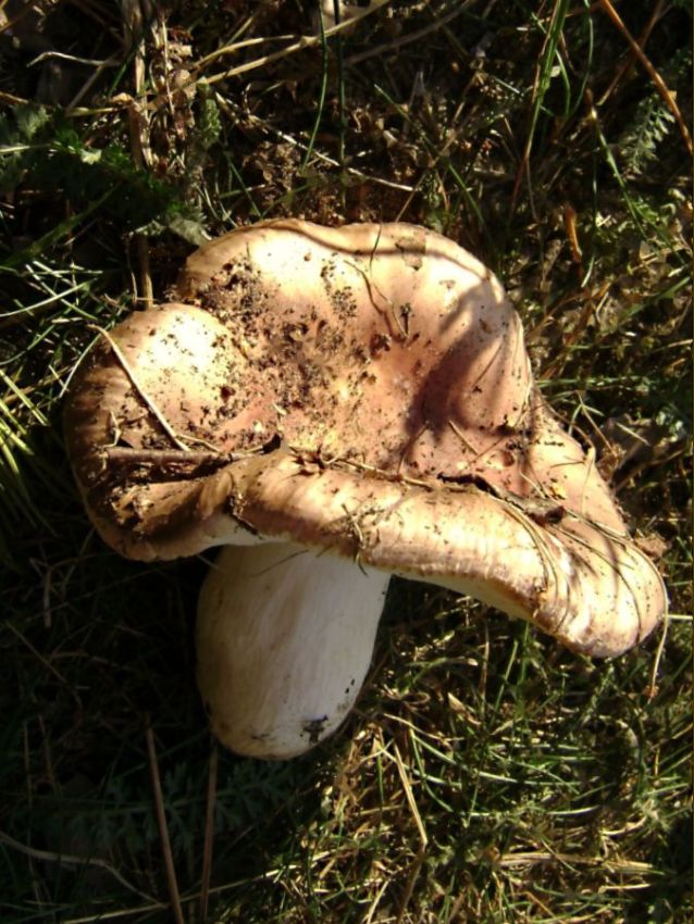   8)
