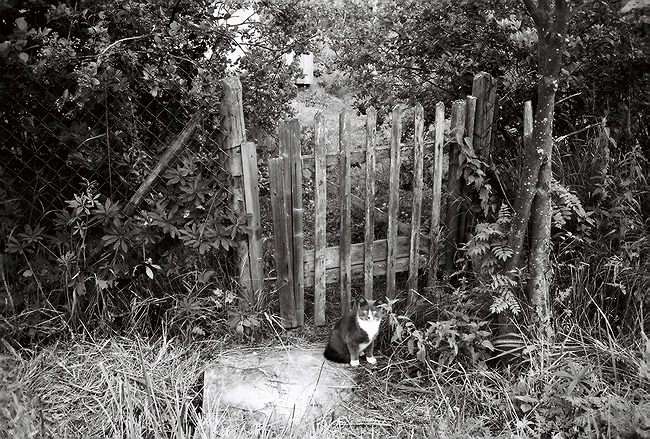  security
