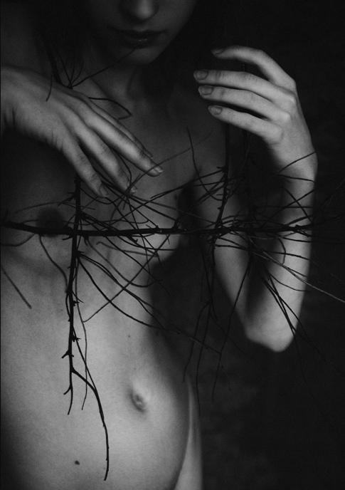  plaiting in three lines