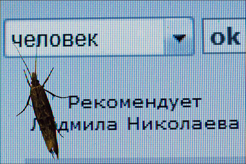    ,...