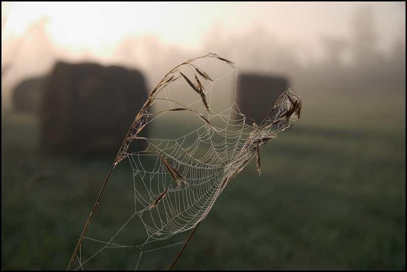  Wind Catcher