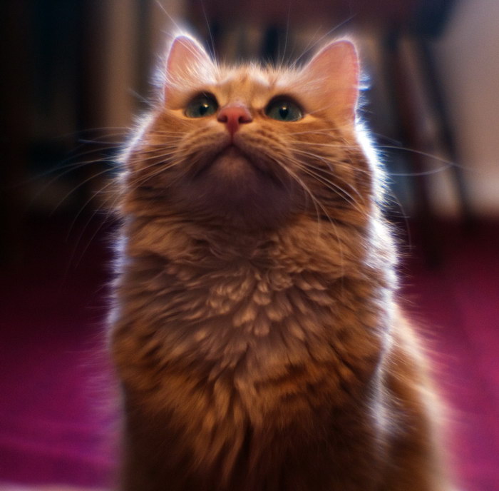   :)