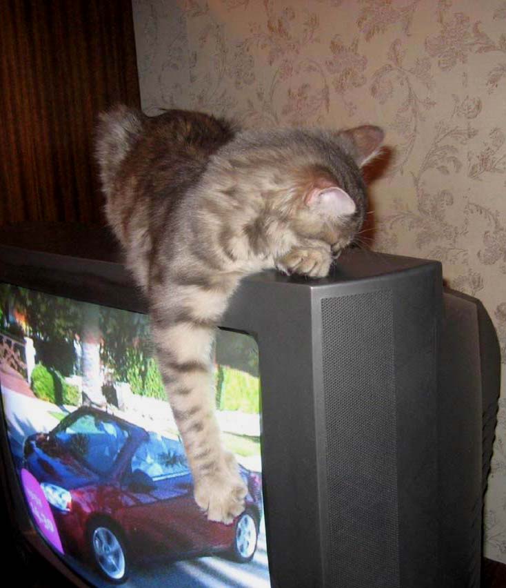     :)))