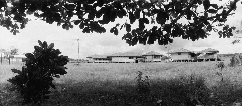  Senggi