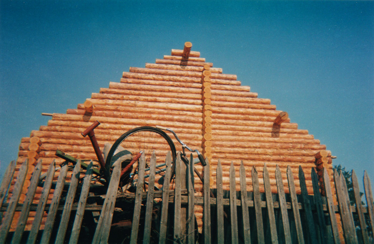  the wall