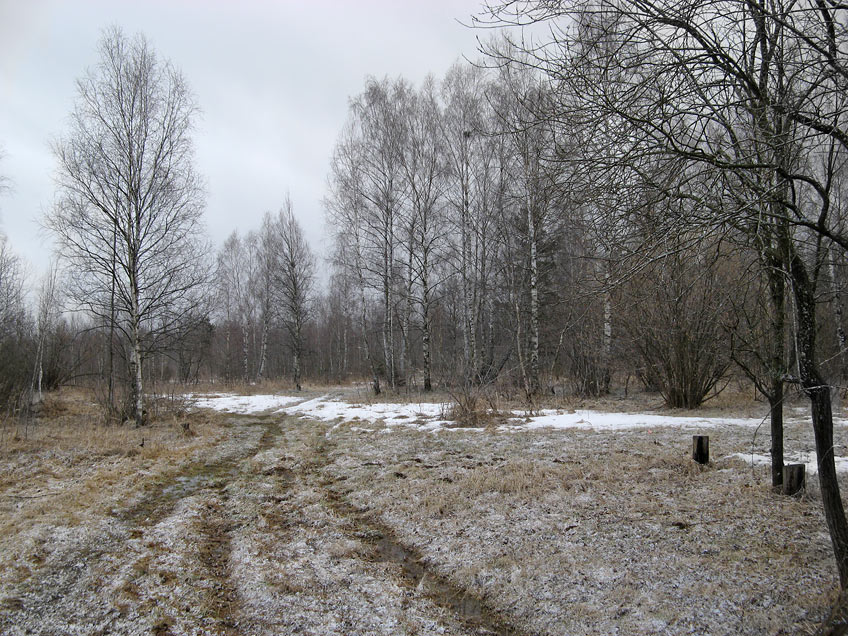    (2)