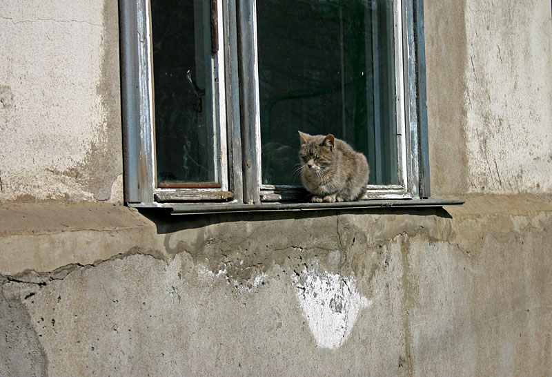   У
