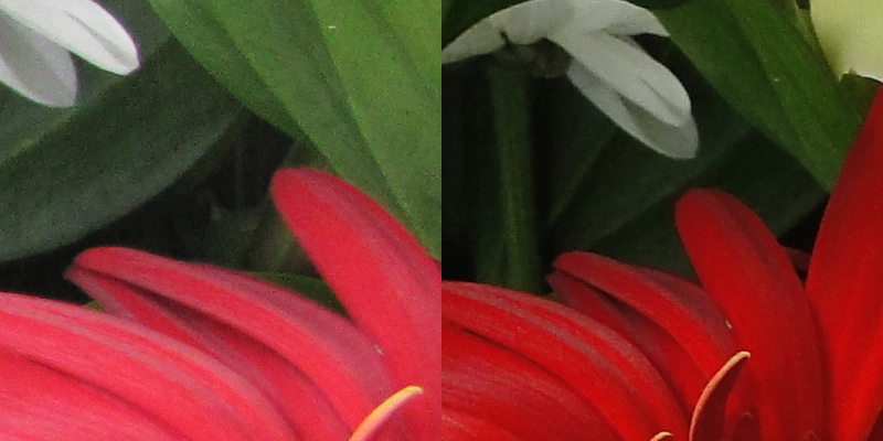  canon v sony