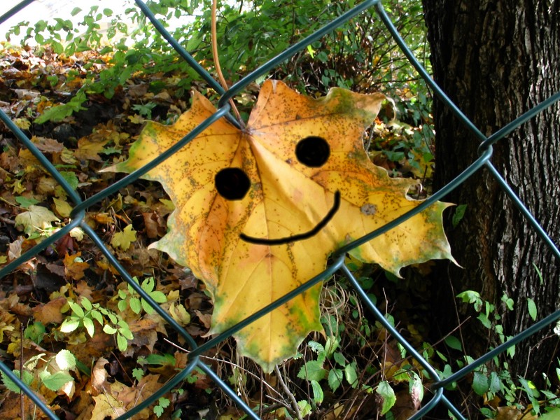  Have a Nice Day!